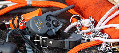 photo of training tools