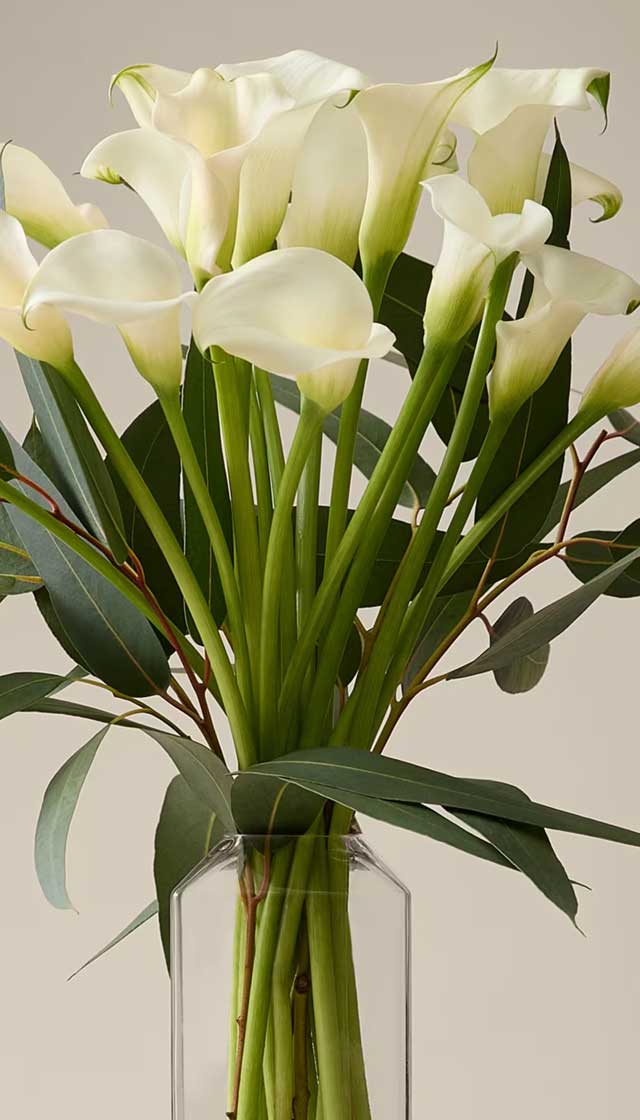 M&S X Kelly Hoppen flowers