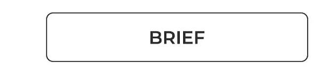 Shop Briefs