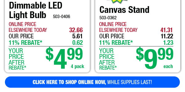 Canvas Stand - ONLY $9.99 After Rebate*!