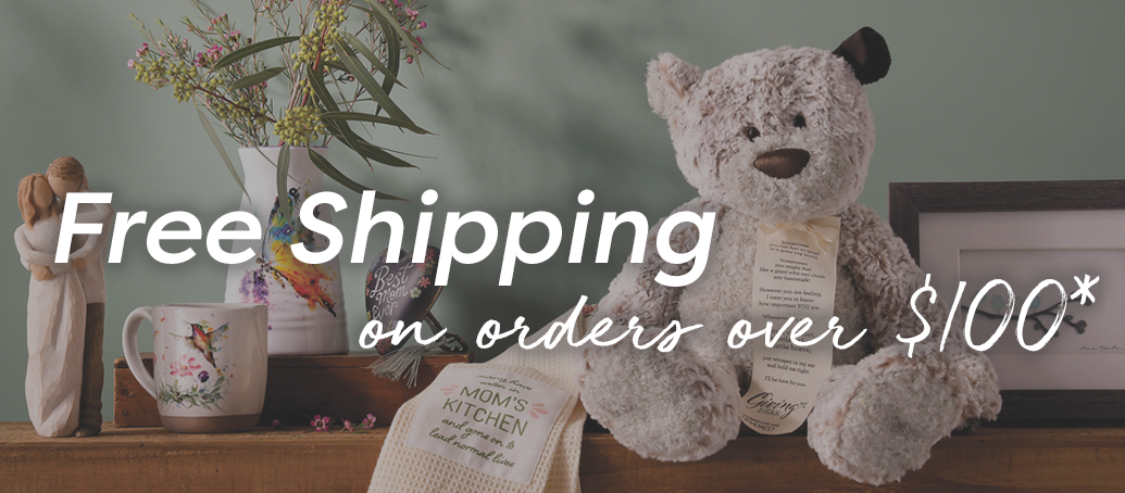 Free Shipping on orders over $100