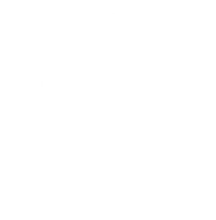 Dogs Best Friend