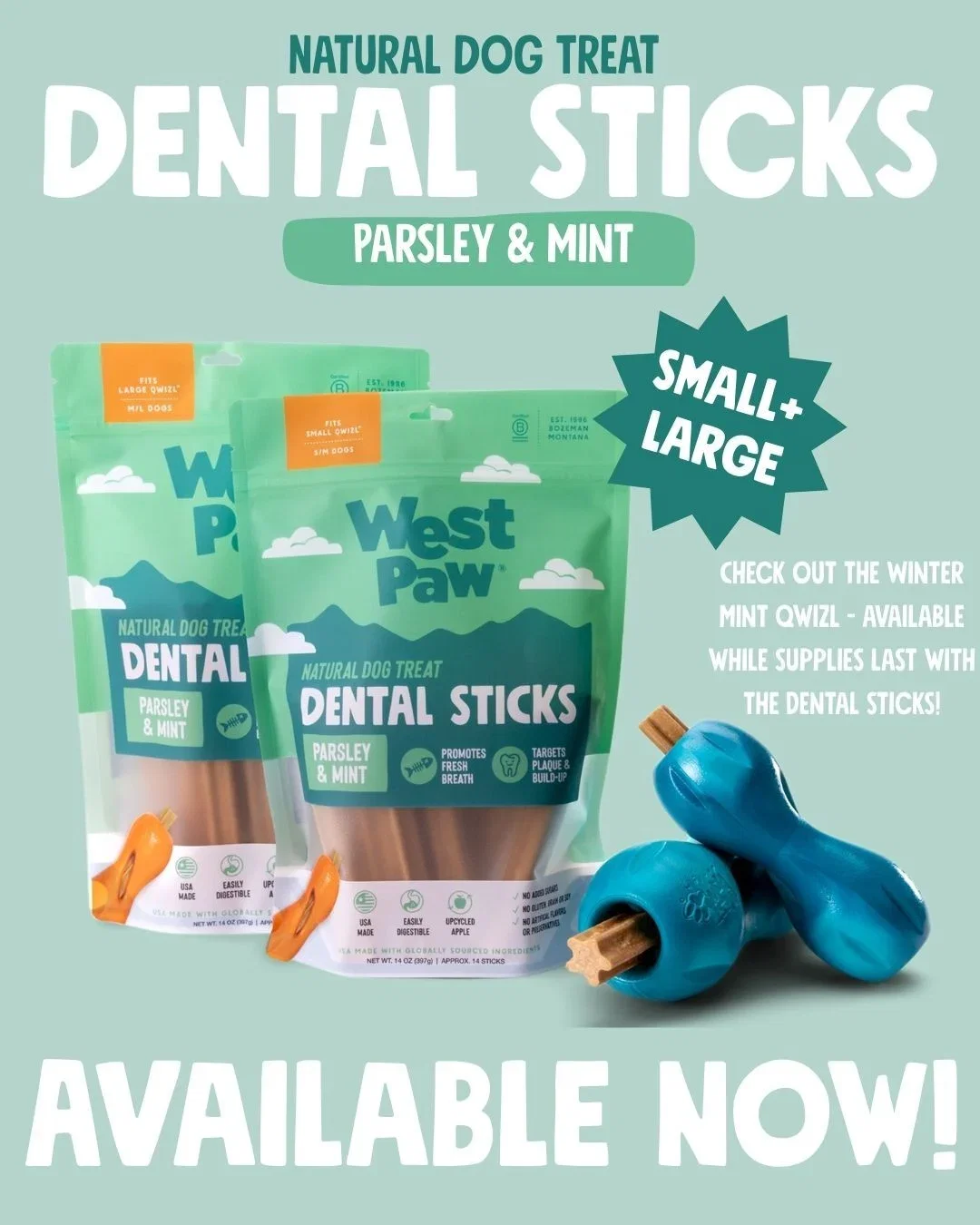 Dental Stick Consumer Email Content-2