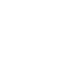 Twitter Icon