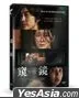 窺鏡 (2024) (DVD) (台灣版)