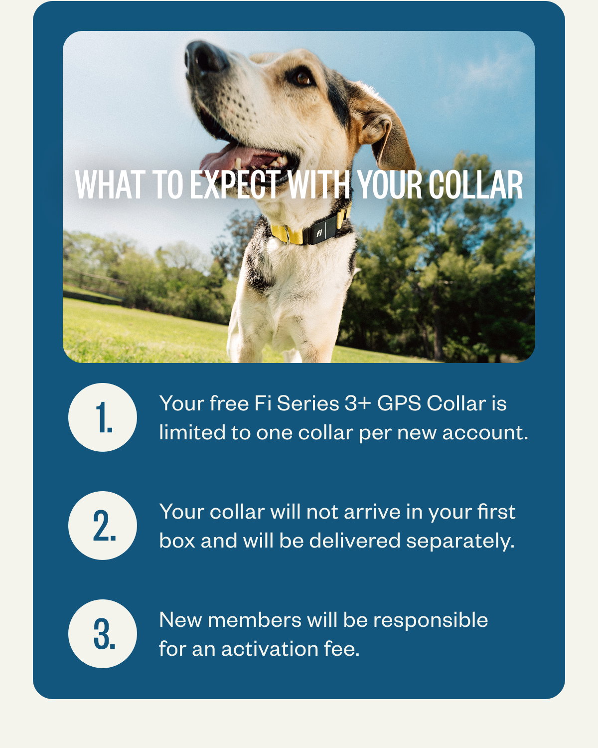 What to expect with your collar Your free Fi Series 3+ GPS Collar is limited to one collar per new account. Your collar will not arrive in your first box and will be delivered separately. New members will be responsible for an activation fee.