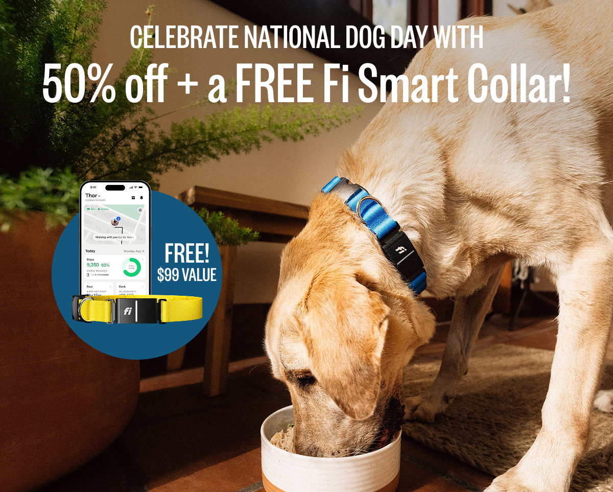 Celebrate National Dog Day with a FREE Fi Series 3+ Smart GPS Collar + 50% off your first box