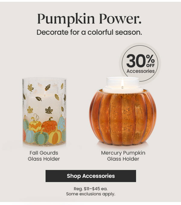 30% Off Accessories