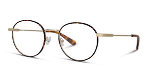 Herren-Brille in Panto-Form und Goldfarben