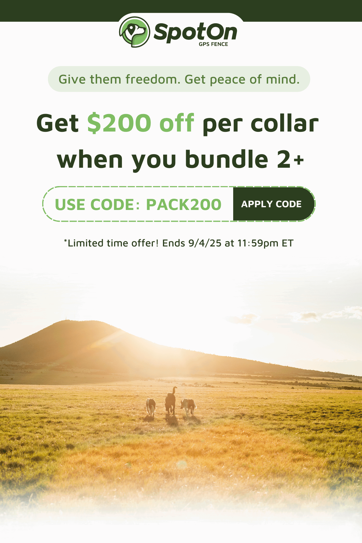 Ends soon! Get $200 off per collar when you buy 2 or more - Use Code PACK200 to apply discount to your cart.