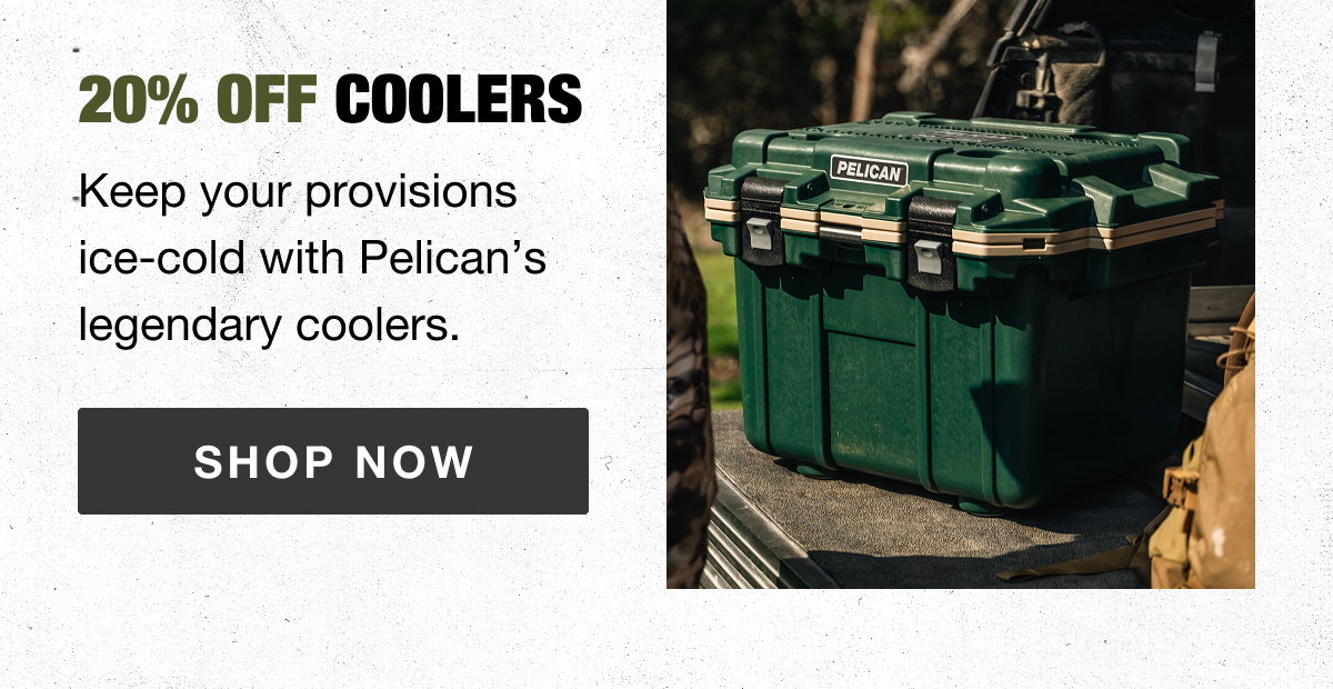 Standout Performance in Every Size