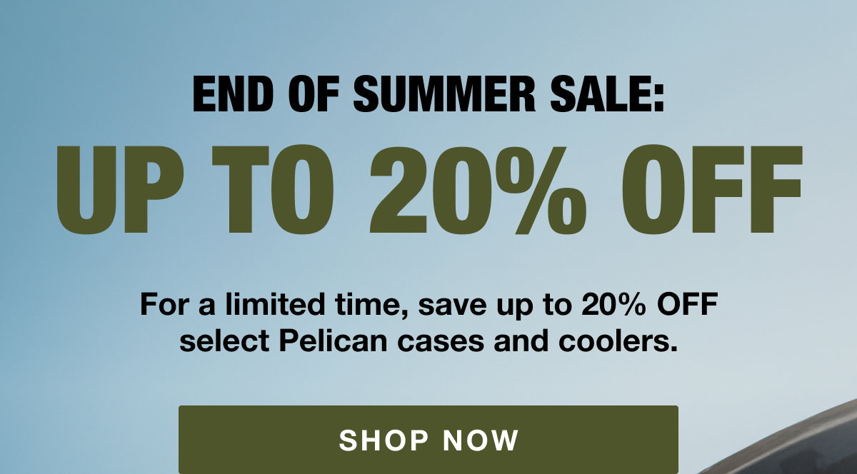 Summer sale