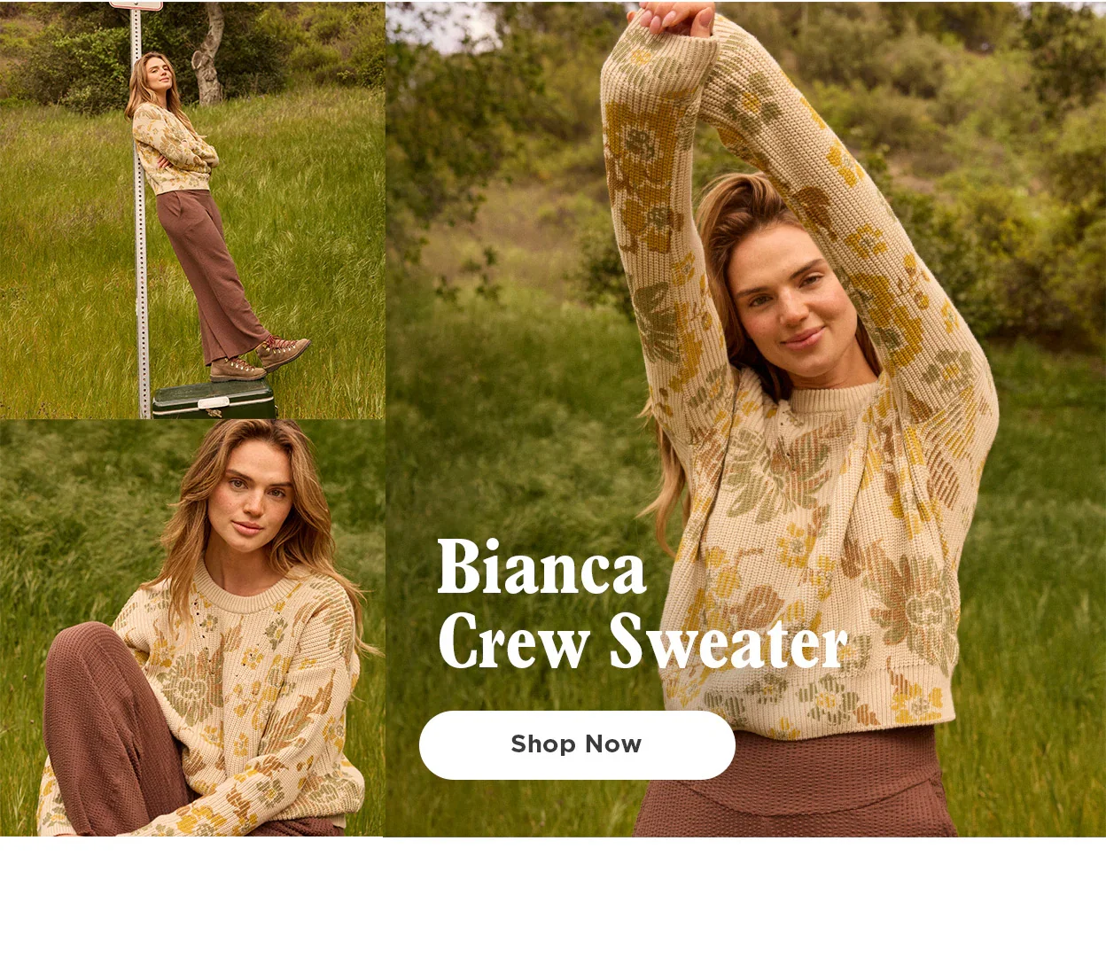 Wasatch Crew Sweater