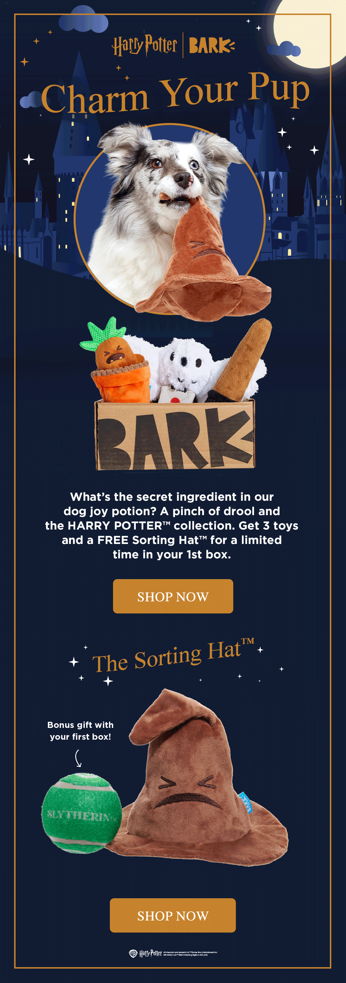 BarkBox: HARRY POTTER™ toys in your 1st box | Milled