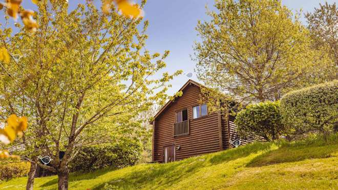 exterior of lodge and trees on bright day