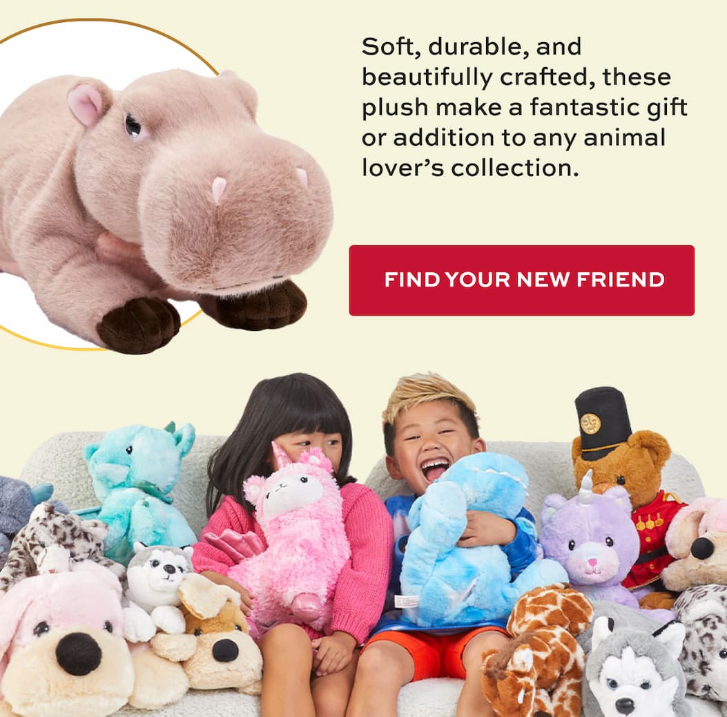 Find Your New Friend