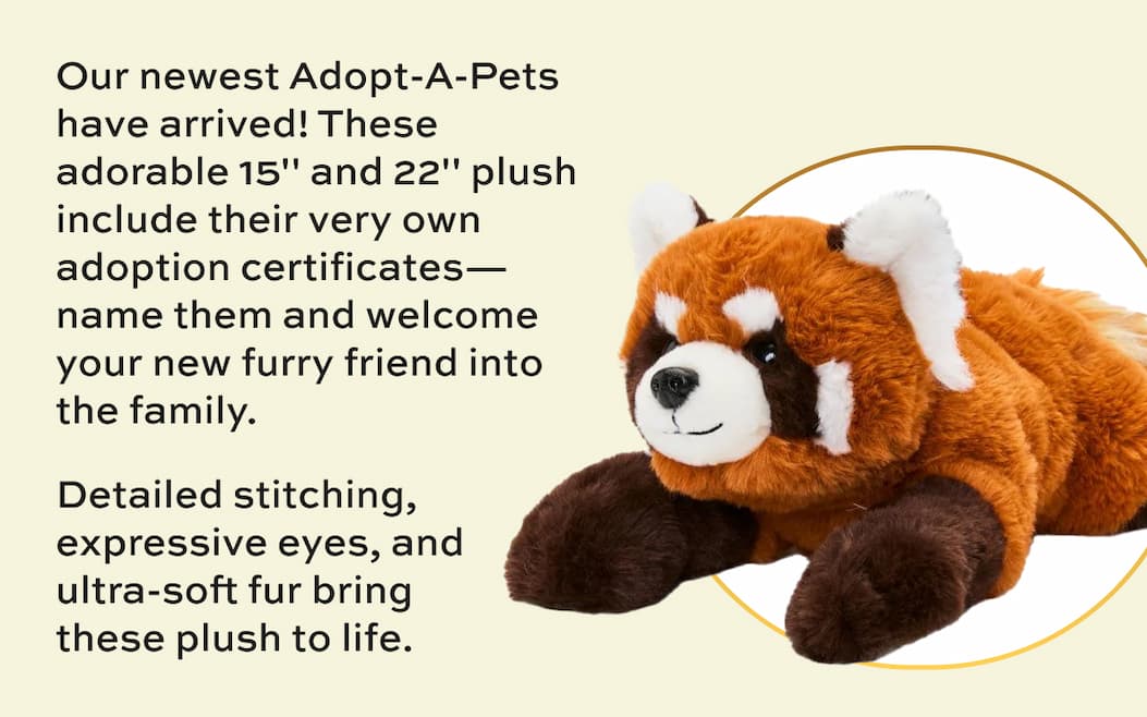 Find Your New Friend