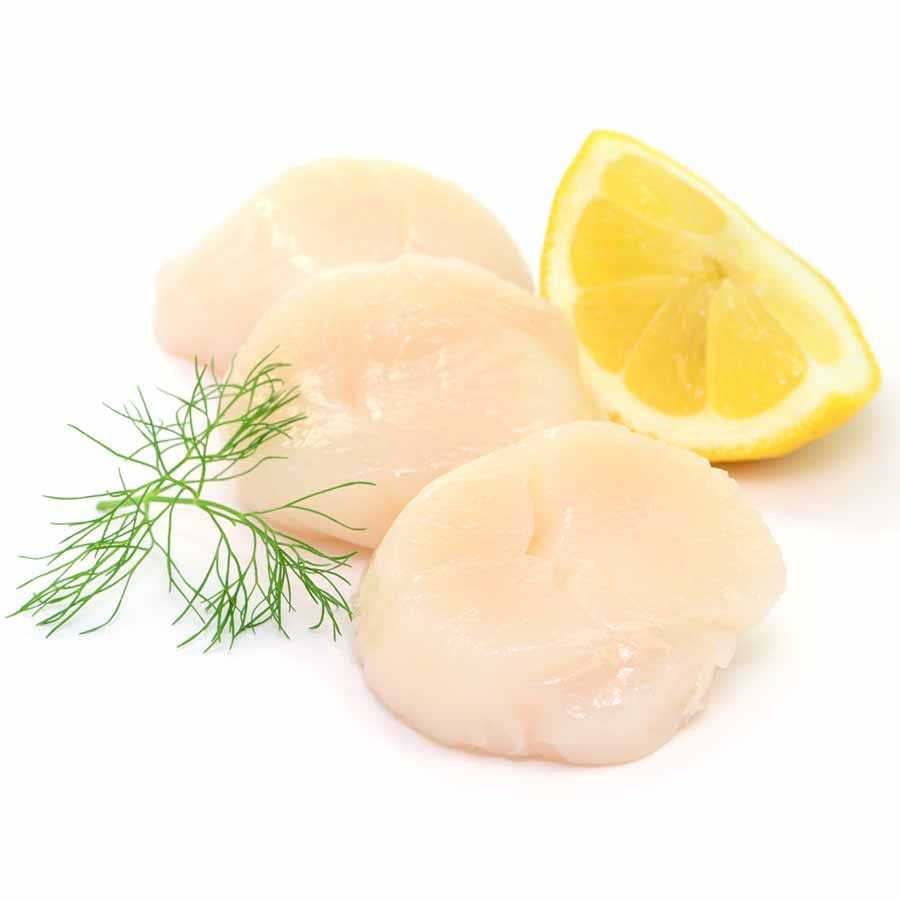 Jacobsmuschelfleisch QUEEN – Scallops ohne Rogen (Wildfang UK)