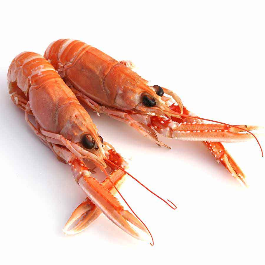 Langostinos Giant XL – Echte Scampi, Wildfang