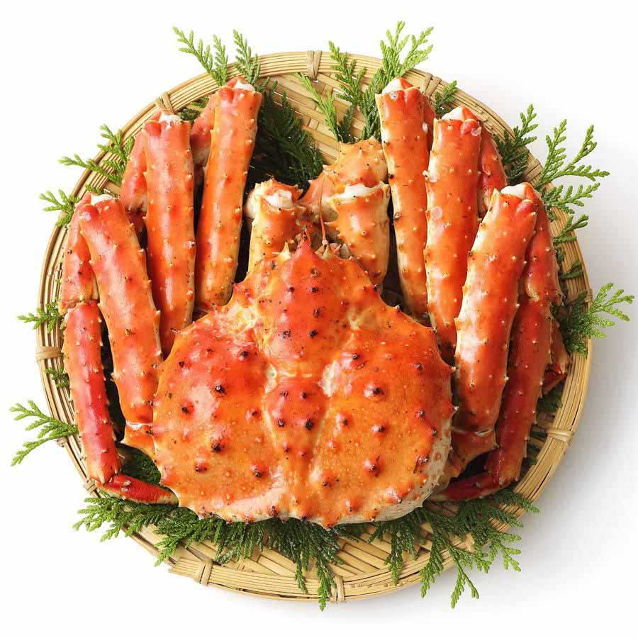 Königskrabbe XL – Ganze King Crab, Wildfang