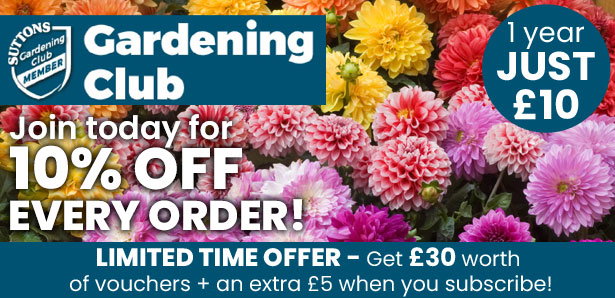 Suttons Gardening Club