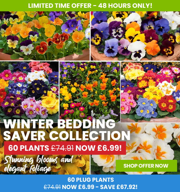 Winter Bedding Saver Collection