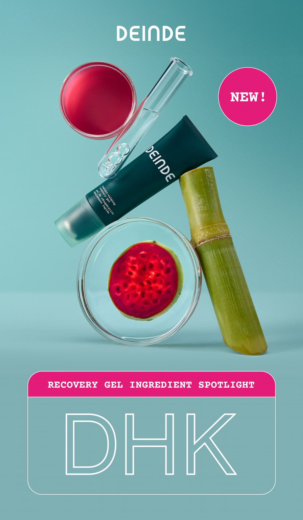 NEW Recovery Gel & DHK!