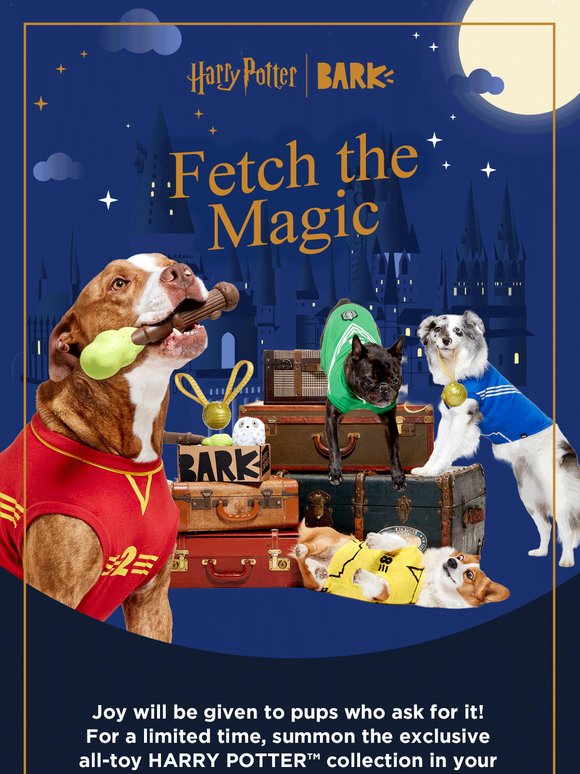 BarkBox: HARRY POTTER™ toys in your 1st Super Chewer box! | Milled
