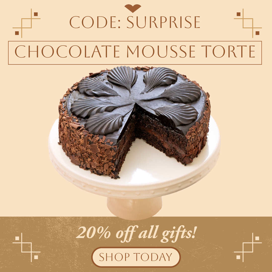 Chocolate Mousse Torte Cake