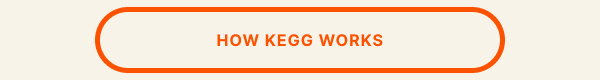How kegg Works