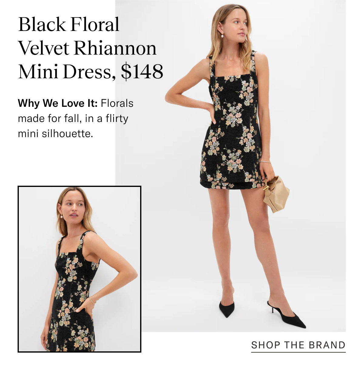 Black Floral Velvet Rhiannon Mini Dress