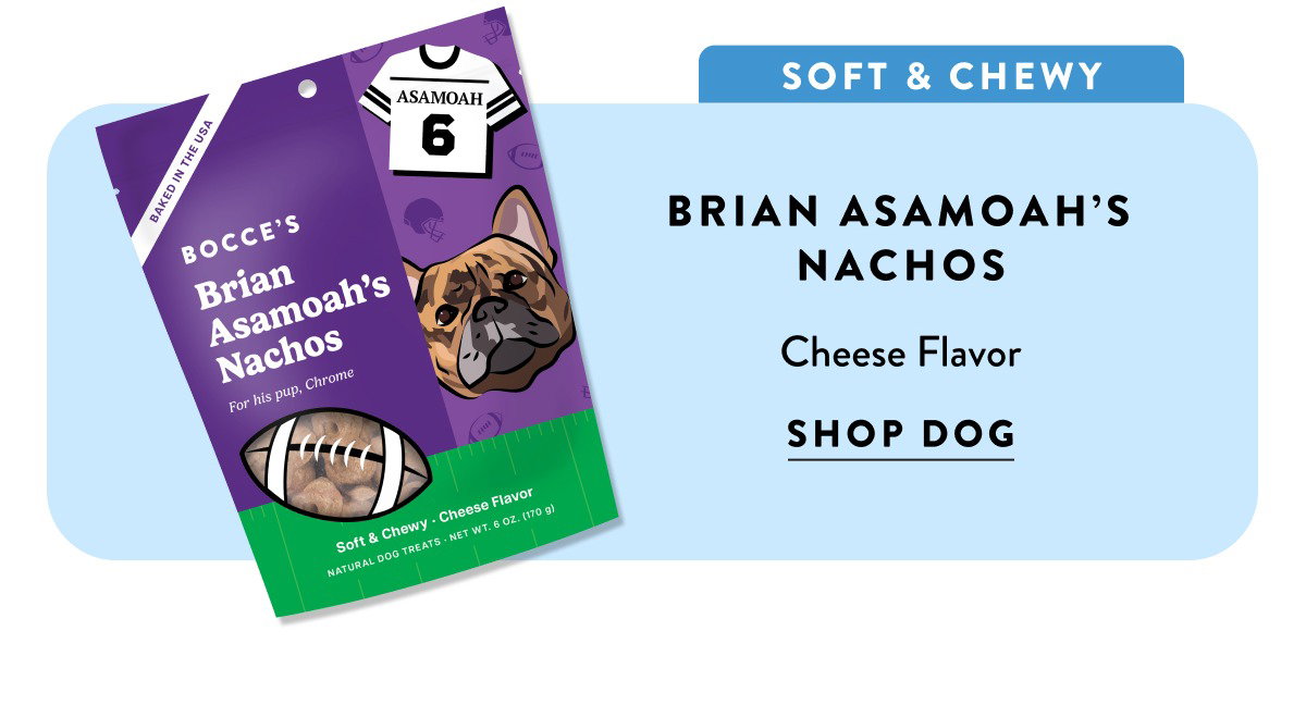 Brian Asamoah's Nachos