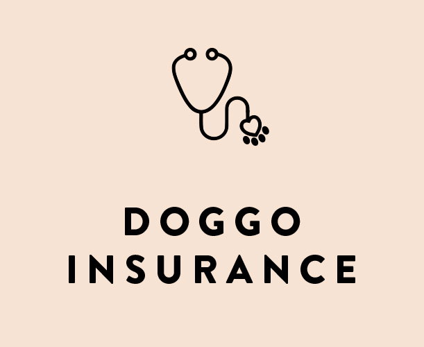 Doggo Insurance