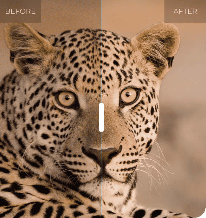 Before / After