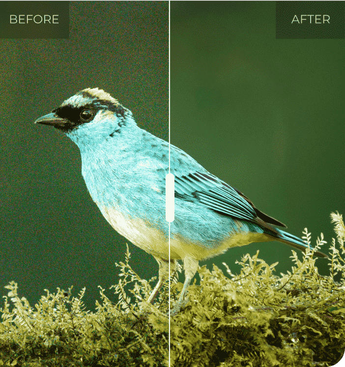 Before / After