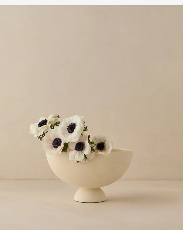 Shop Donato Bowl