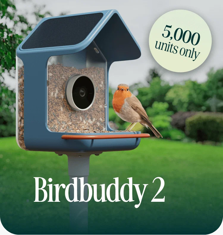 Bird Buddy: Birdbuddy 2 Pre-Order is Live | Milled