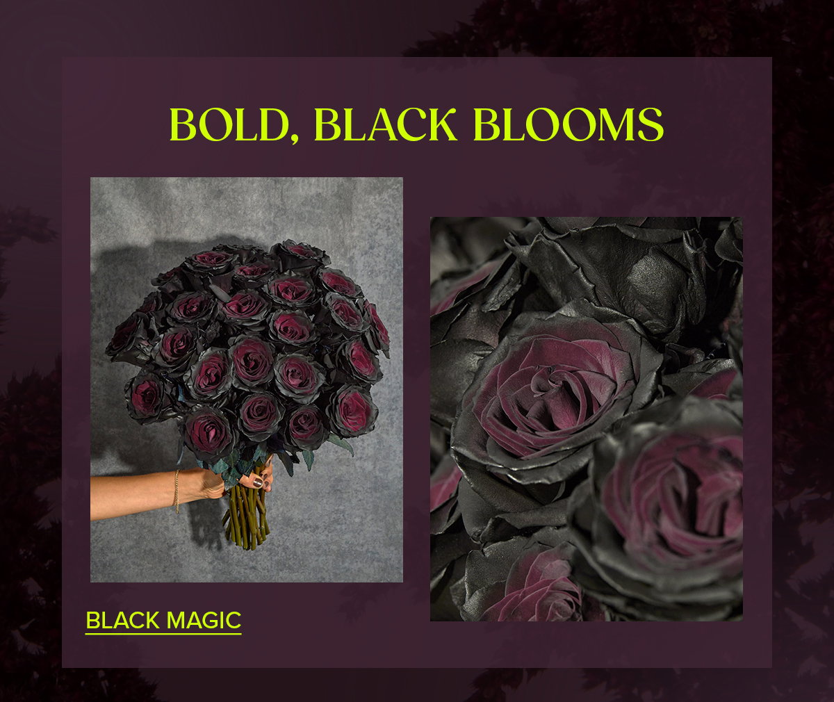 BOLD, BLACK BLOOMS --> BLACK MAGIC BOUQ