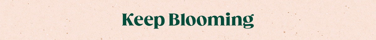 Keep Blooming
