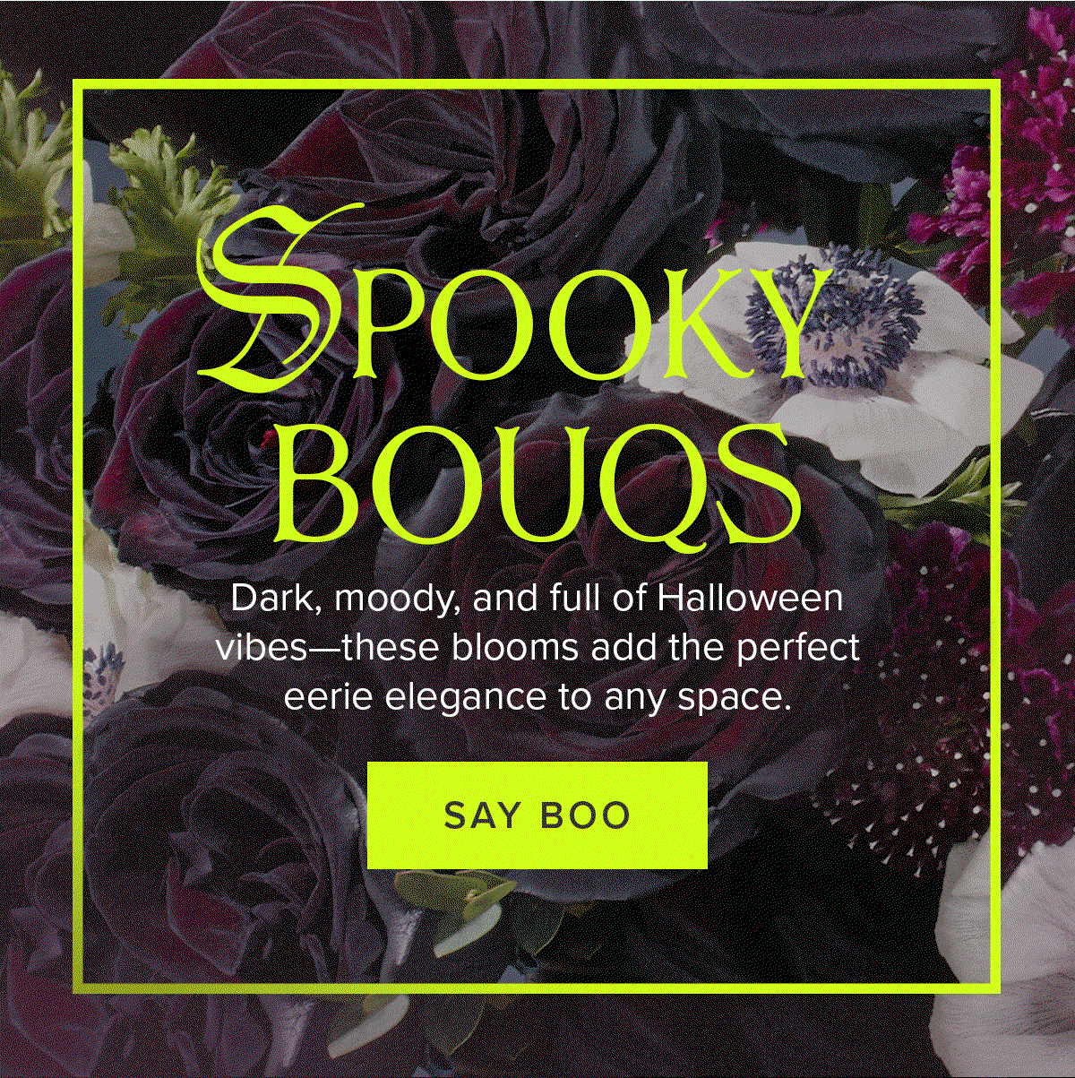 SPOOKY BOUQS: Dark, moody, and full of Halloween Rocs these blooms add the perfect eerie elegance to any space. SAY BOO