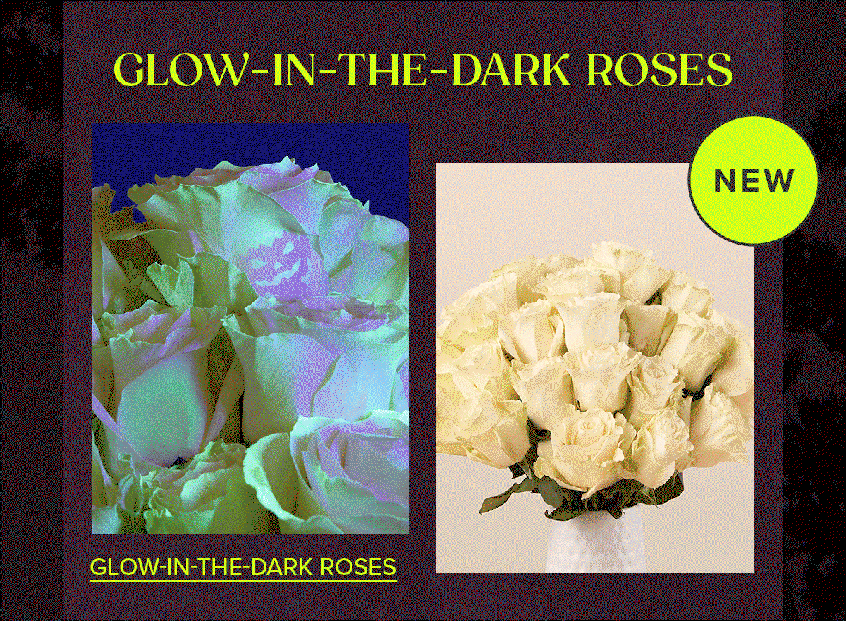 NEW GLOW-IN-THE-DARK ROSES BOUQ