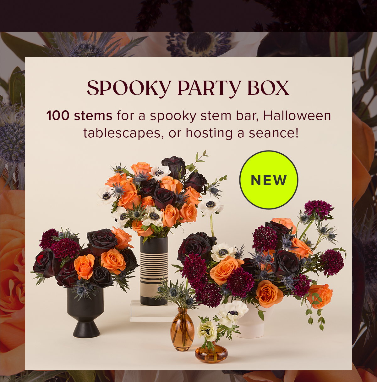 NEW SPOOKY PARTY BOX: 100 stems for a spooky stem bar, Halloween tablescapes, or hosting a seance! 