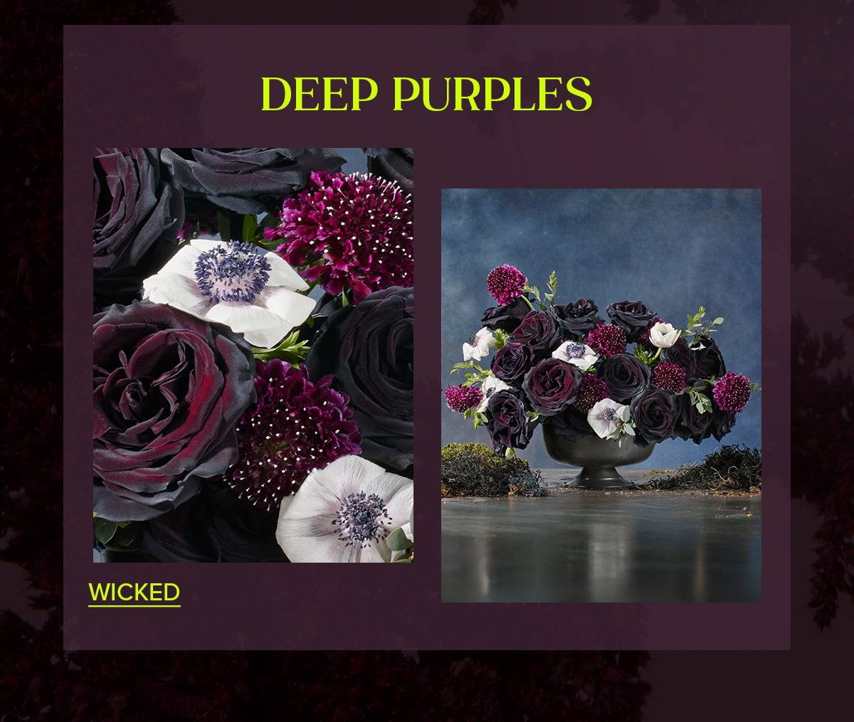 DEEP PURPLES -->  WICKED BOUQ