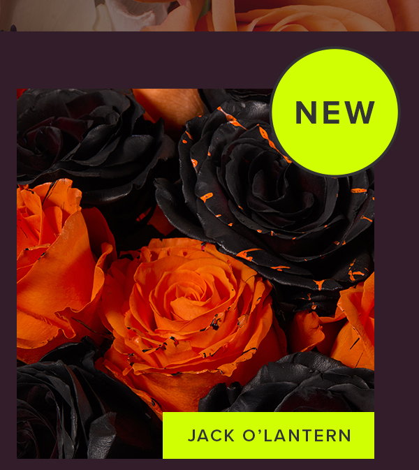 NEW JACK O'LANTERN BOUQ