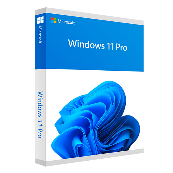 windows 11 pro