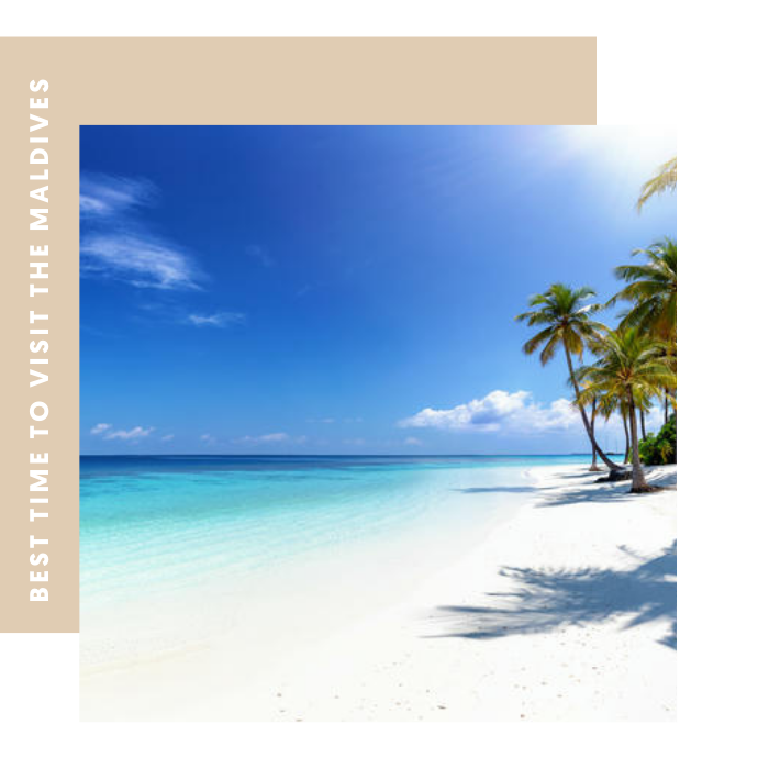 Best Time to Visit The Maldives