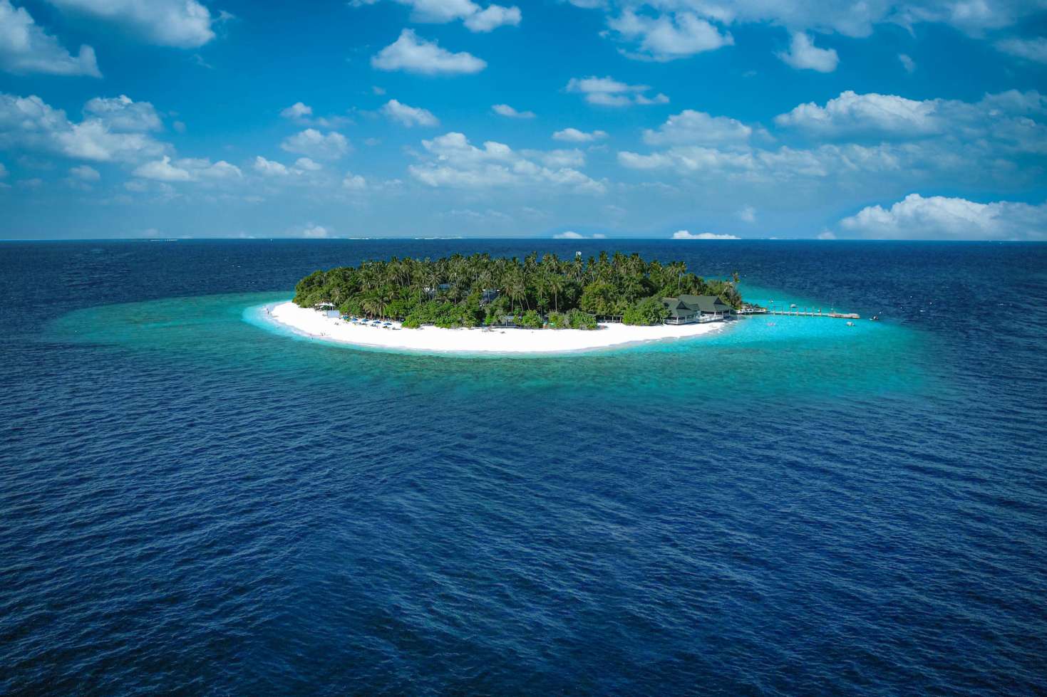 Malahini Kuda Bandos