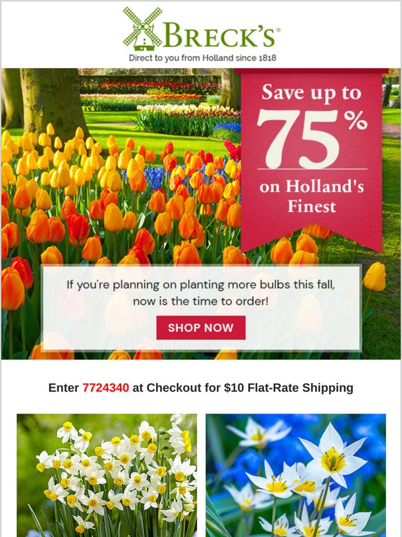 Breck's: $10 Flat-Rate Shipping on Bulbs Directly from Holland | Milled