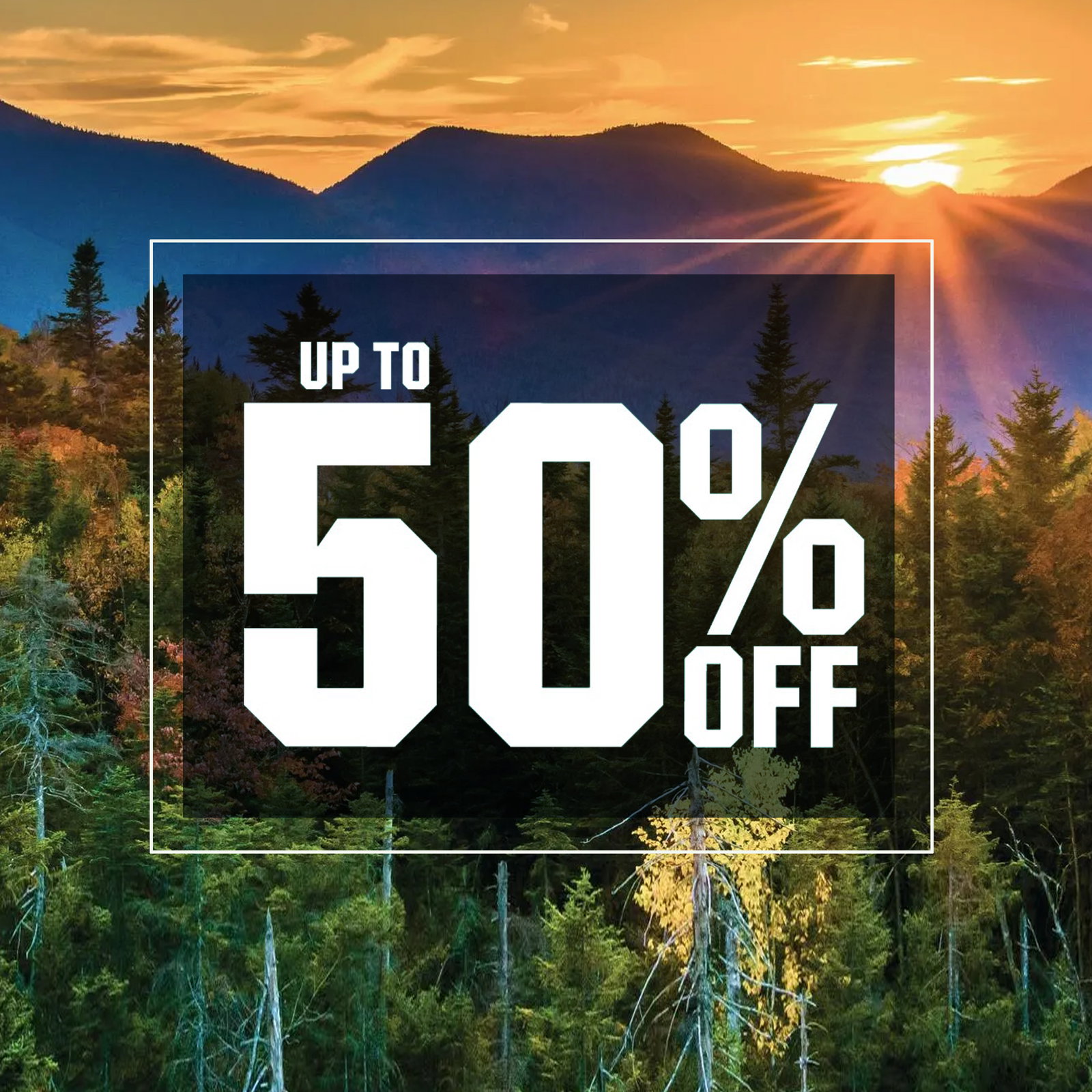  Up to 50% off.