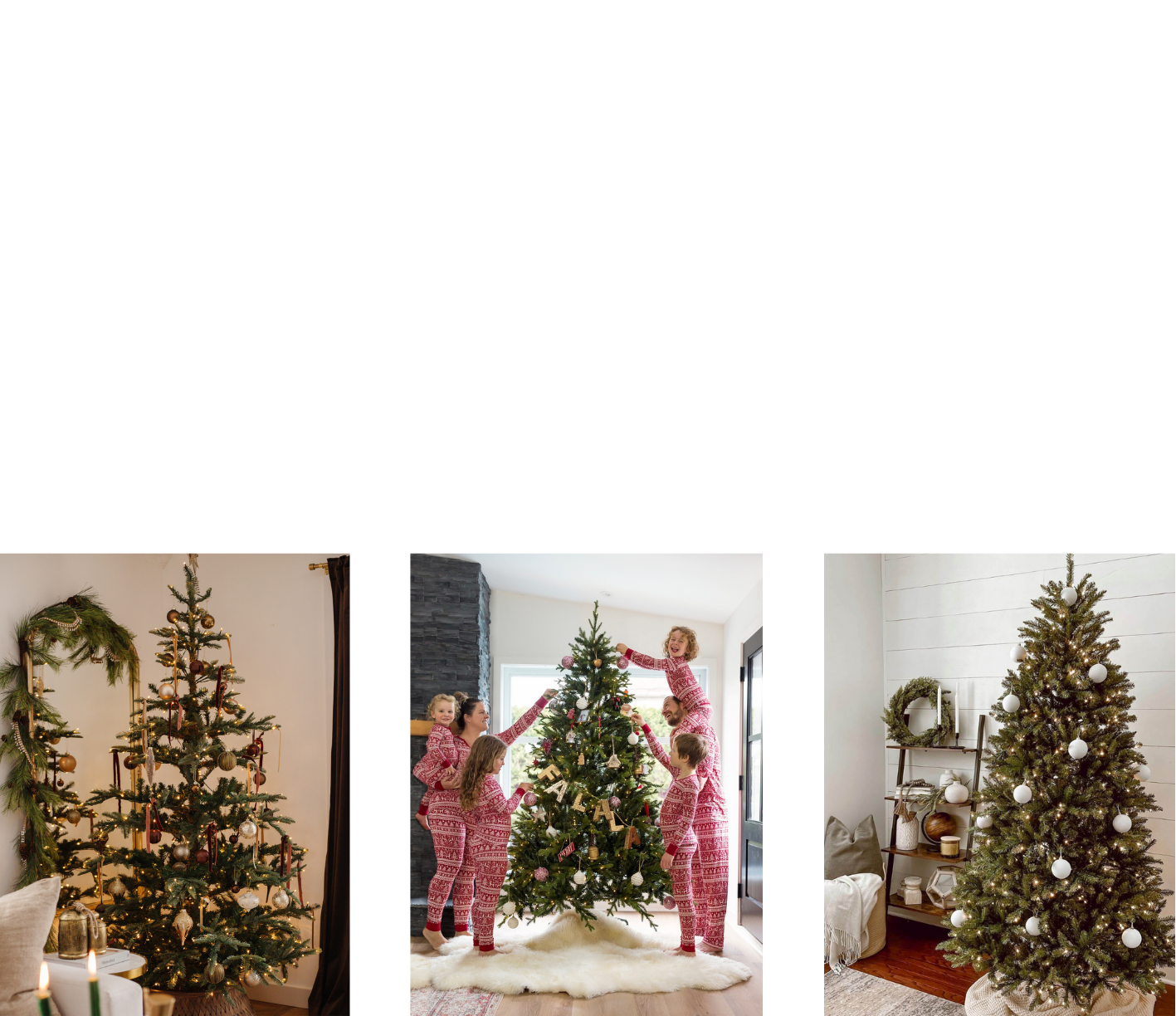 Follow us on Instagram!